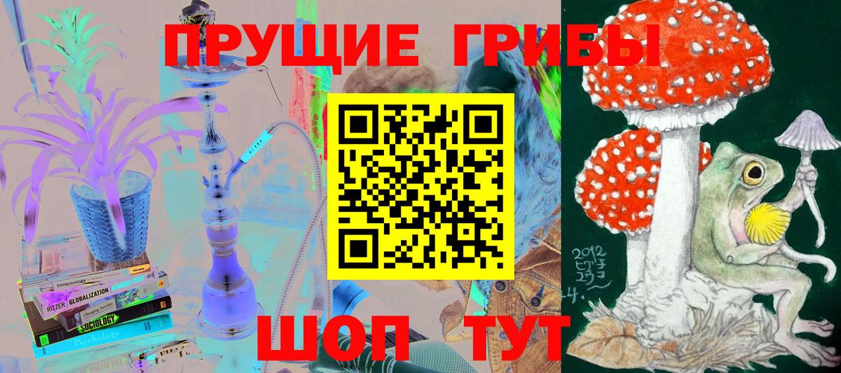 Галлюциногенные грибы Psilocybe Сухой Лог